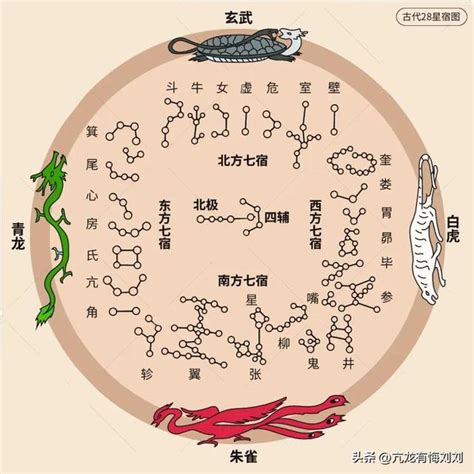 青龍意思|青龍的意思